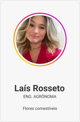 Card Laís